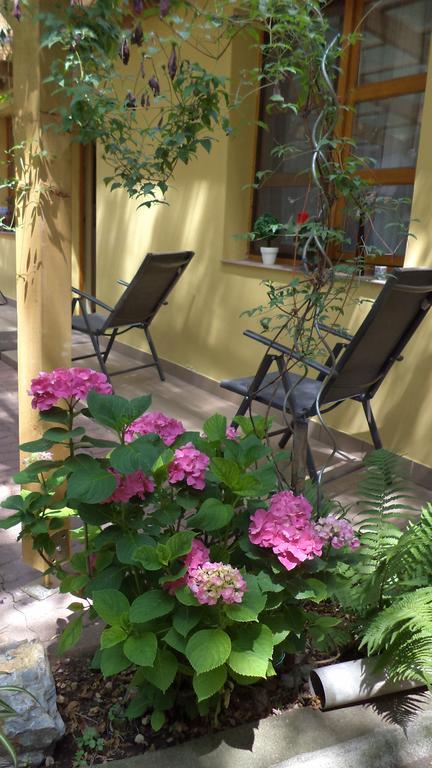 Oazis Apartman إغير المظهر الخارجي الصورة